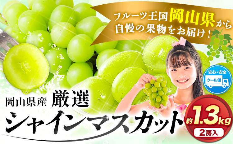 【2026年先行予約】厳選 シャインマスカット 訳あり シャインマスカット 約 1.3kg 2房《2026年 9月上旬-11月上旬頃に出荷》 マスカット ぶどう フルーツ マスカット シャインマスカット |シャインマスカットシャインマスカット シャインマスカット シャインマスカット シャインマスカットシャインマスカット シャインマスカット シャインマスカット シャインマスカット シャインマスカット  ---124_c2402_9a11a_25_13500_2p---