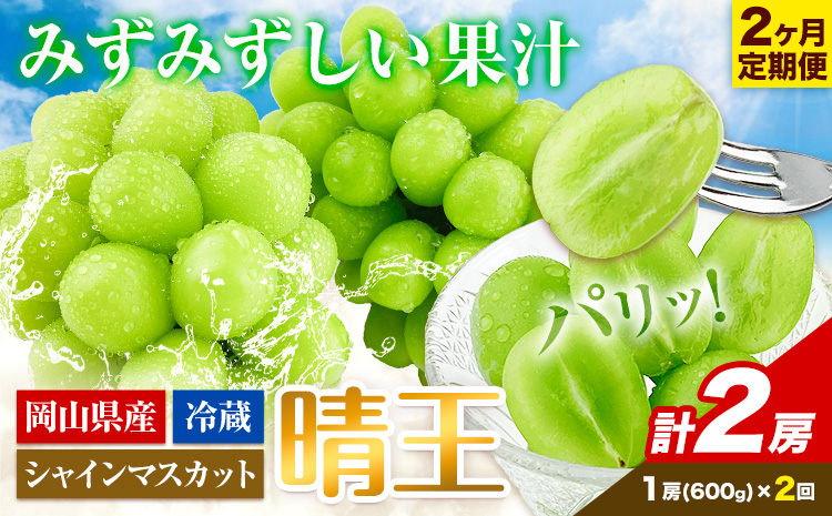 【2026年先行予約】2ヶ月 定期便 シャインマスカット 晴王 1房 約600g《9月上旬-10月末頃出荷(土日祝除く)》【配送不可地域あり】（北海道・沖縄・離島）---124_c1952_25_32000_sep2_tei---