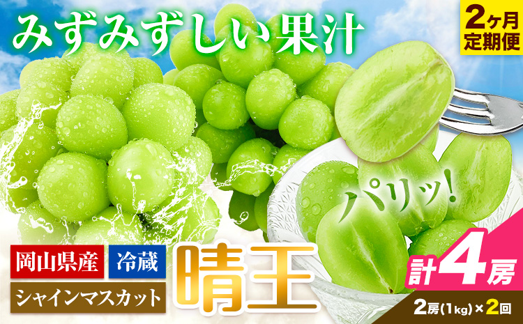 【2026年先行予約】2ヶ月 定期便 シャインマスカット 晴王 2房 約1kg《9月上旬-10月末頃出荷(土日祝除く)》【配送不可地域あり】（北海道・沖縄・離島）---124_c1956_25_50000_sep2_tei---