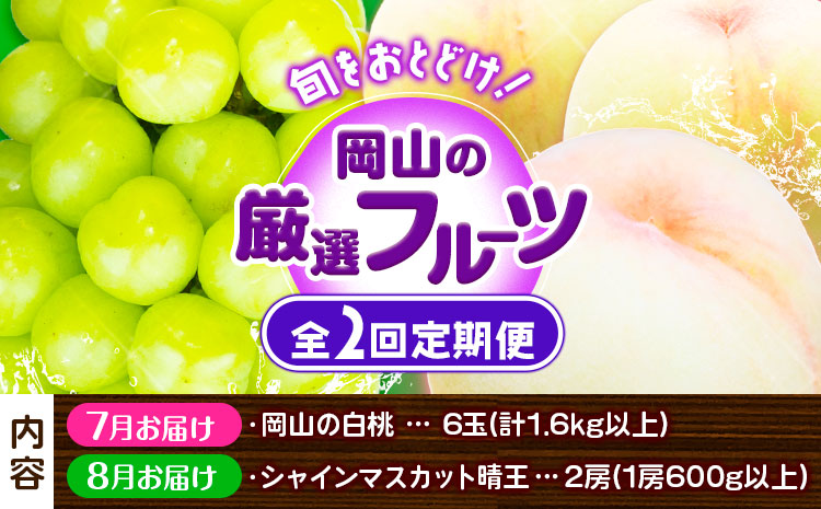 【先行予約】岡山の厳選フルーツ 定期便2回コース 岡山 白桃 シャインマスカット 晴王  フルーツ 株式会社山博 《7月上旬から8月下旬出荷》【配送不可地域あり】（北海道・沖縄・離島）---124_c1881tei_7a8c_25_54000_tei---