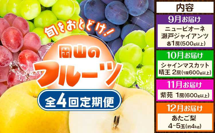 【先行予約】定期便4回 岡山のフルーツ ニューピオーネ 瀬戸ジャイアンツ シャインマスカット 晴王 紫苑 あたご梨 株式会社山博（中本青果）【配送不可地域あり】（北海道・沖縄・離島）｜フルーツ フルーツ フルーツ フルーツ フルーツ フルーツ フルーツ フルーツ フルーツ フルーツ フルーツ フルーツ フルーツ フルーツ フルーツ フルーツ フルーツ フルーツ---124_c1891_9a12c_25_88000_tei---