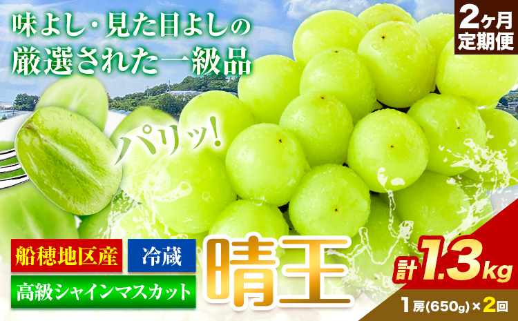 【2026年先行予約】高級 シャインマスカット 2ヶ月 定期便 晴王 1房 1.3㎏《9月上旬-10月末頃出荷(土日祝除く)》【配送不可地域あり】（北海道・沖縄・離島）---124_c1970_25_42000_650g_tei---