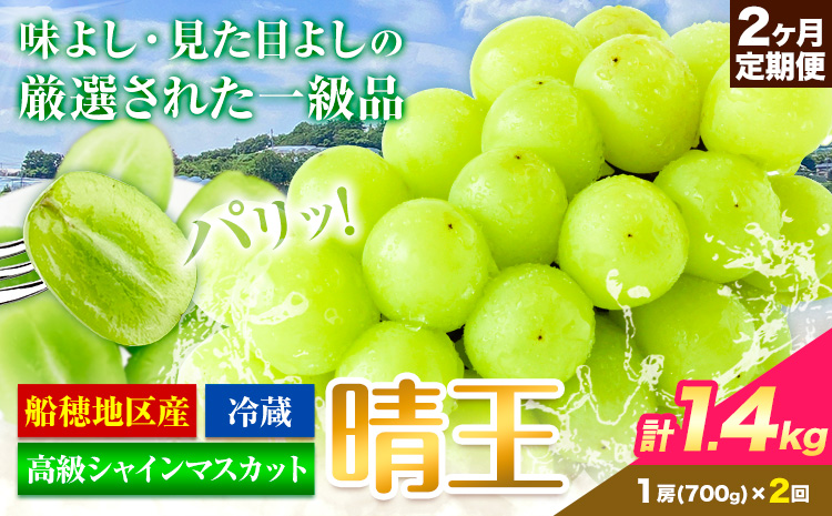 【2026年先行予約】高級 シャインマスカット 2ヶ月 定期便 晴王 700g×2回 《9月上旬-10月末頃出荷(土日祝除く)》 【配送不可地域あり】（北海道・沖縄・離島）---124_c1971_25_47000_700g_tei---