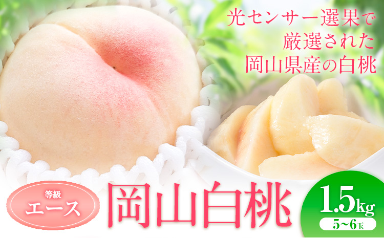桃 もも 白桃【先行予約】岡山の白桃等級エース 約1.5kg 晴れの国岡山農業協同組合鴨方支店 桃 もも 桃 白桃 桃 岡山白桃 桃《7月上旬-7月末頃出荷》【配送不可地域あり】（北海道・沖縄・離島）|桃 桃---124_c3400_7a7m_25_18500_1500e---