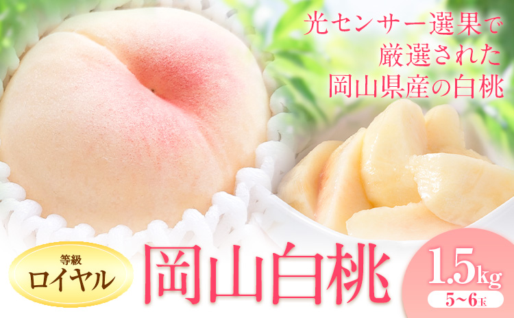 桃 もも 白桃【先行予約】岡山の白桃等級ロイヤル 約1.5kg 晴れの国岡山農業協同組合鴨方支店《7月上旬-7月末頃出荷》【配送不可地域あり】（北海道・沖縄・離島）桃 もも 桃 白桃 桃 岡山白桃 桃 |---124_c3401_7a7m_25_24500_1500r---