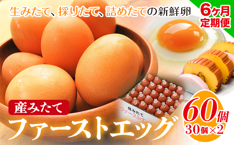 卵 たまご 6ヶ月 定期便 赤玉 ファーストエッグ 60個《お申込み月翌月から出荷予定(土日祝除く)》30個×2セット---124_83tei_23_93000_mo6num1_s---