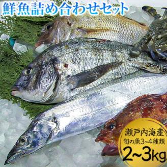 鮮魚詰め合わせセット 旬の魚3〜4種類 2〜3kg 株式会社マルキ寄島魚市場[30日以内に出荷予定(土日祝除く)] [配送不可地域あり]---124_c69_30d_23_22000_33---