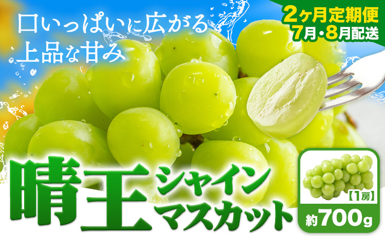 [2ヶ月定期便]ぶどう シャインマスカット 晴王 700g 1房 ハレノフルーツ(アストライ)[7月上旬-8月末頃出荷]岡山県 浅口市 送料無料 フルーツ 果物 マスカット お取り寄せフルーツ[配送不可地域あり](北海道・沖縄・離島)---124_c1111tei_7j8m_24_51000_jul2---