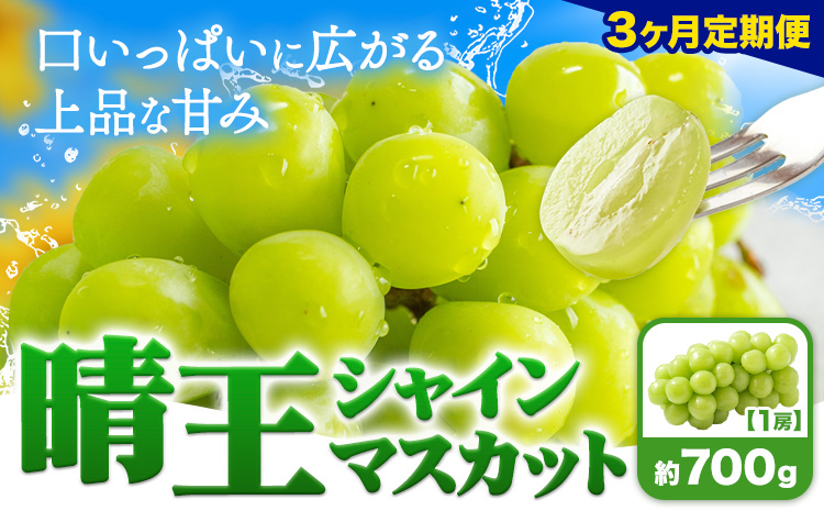 [3ヶ月定期便]ぶどう シャインマスカット 晴王 700g 1房 ハレノフルーツ(アストライ)[7月上旬-9月末頃出荷]岡山県 浅口市 送料無料 フルーツ 果物 マスカット お取り寄せフルーツ[配送不可地域あり](北海道・沖縄・離島)---124_c1115tei_7j9m_24_77000_jul3---