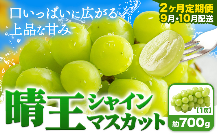 [2ヶ月定期便]ぶどう シャインマスカット 晴王 700g 1房 ハレノフルーツ(アストライ)[9月上旬-10月末頃出荷]岡山県 浅口市 送料無料 フルーツ 果物 マスカット お取り寄せフルーツ[配送不可地域あり](北海道・沖縄・離島)---124_c1127tei_9j10m_24_44000_sep2---