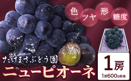 [2026年先行予約]ぶどう ニューピオーネ 1房(約600g前後) たけまさぶどう園 [2026年7月中旬-10月上旬頃出荷]岡山県 浅口市 送料無料 フルーツ 果物 岡山県産 青果物 お取り寄せフルーツ[配送不可地域あり](離島)---124_c2010_7b10a_25_16000_1---st-p