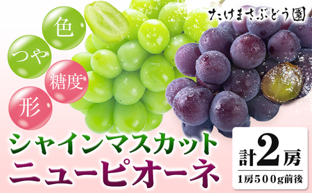 [2026年先行予約]ニューピオーネ 1房 シャインマスカット 1房 500g 前後 たけまさぶどう園 [2026年8月上旬-10月中旬頃出荷]岡山県 浅口市 フルーツ デザート おやつ マスカット ぶどう 果物 国産 岡山県産 くだもの 青果物 送料無料[配送不可地域あり](離島)---124_c2008_8a10b_25_21000_1---st-p
