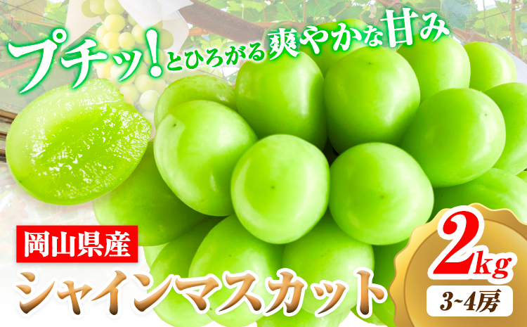 [2026年先行予約]シャインマスカット 岡山県産 2kg 3房 ~ 4房[2026年9月上旬-9月中旬頃出荷]ひらた農園 マスカット 送料無料 岡山県 浅口市 ---124_2001_9a9b_25_25000_2kg---st-p