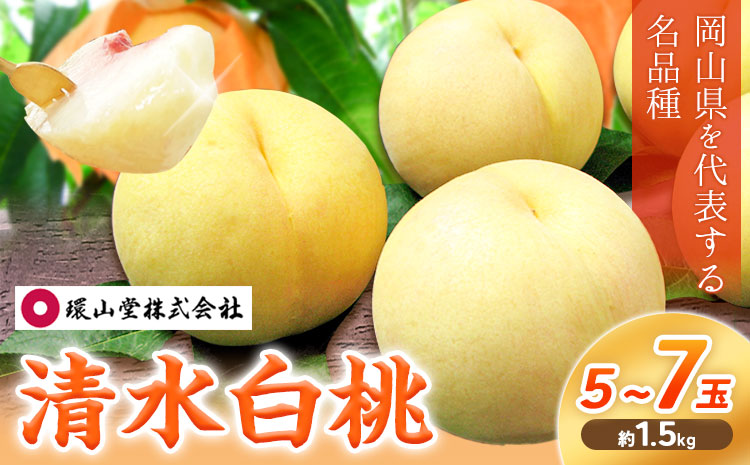[2026年先行予約]桃 もも 清水白桃 5〜7玉 約1.5kg 岡山県産 環山堂株式会社[配送不可地域あり](北海道・沖縄・離島)[2026年7月中旬-7月下旬頃出荷]岡山県 浅口市 白桃 ---124_c2262_7b7c_25_23000_20---st-p