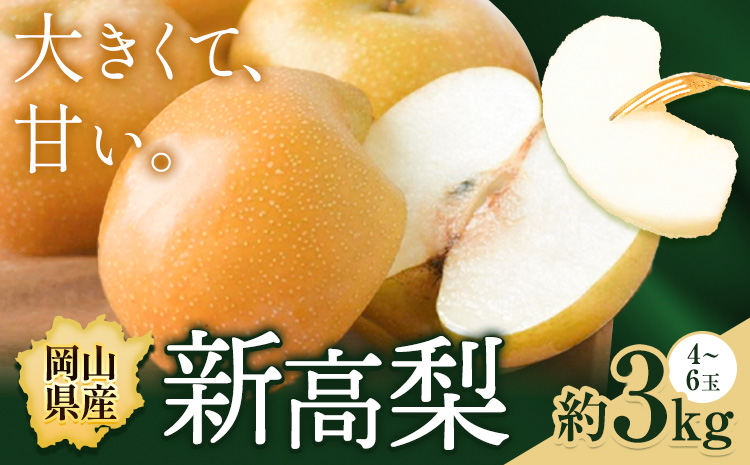 梨 岡山県産 新高梨 約3kg ( 4~6玉 ) [配送不可地域あり](北海道・沖縄・離島) 株式会社藍[9月下旬-10月下旬頃出荷] 岡山県 浅口市 岡山県産 なし フルーツ 果物 くだもの ナシ 大玉 新高 送料無料---124_3238_9c10c_25_15000_3000g---
