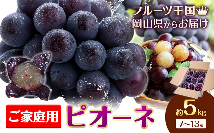 [先行予約]ぶどう ご家庭用 ピオーネ 約5kg (7房〜13房) もりおか農園[9月上旬-10月上旬頃出荷]岡山県 浅口市 送料無料 ぶどう フルーツ 果物 くだもの デザート おやつ[配送不可地域あり]---124_c2120_9a10a_25_31000_5kg---