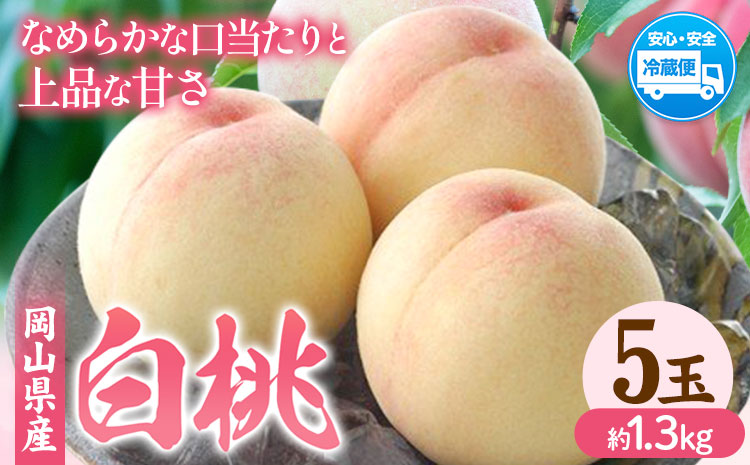 [先行予約]岡山県産 白桃 5玉(約1.3kg) クール便 晴れの国 おかやま館(フルーツランド岡山) [7月中旬-7月下旬頃出荷]岡山県 浅口市 白桃 桃[配送不可地域あり](離島)---124_c2177_7b7c_25_20000_5p---