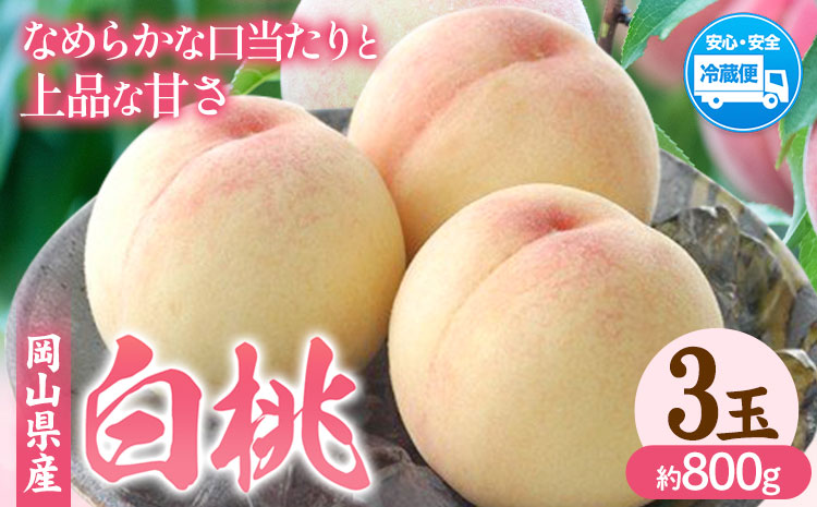 [先行予約]岡山県産 白桃 3玉(約800g) クール便 晴れの国 おかやま館(フルーツランド岡山) [7月中旬-7月下旬頃出荷]岡山県 浅口市 白桃 桃[配送不可地域あり](離島)---124_c2176_7b7c_25_16000_3p---