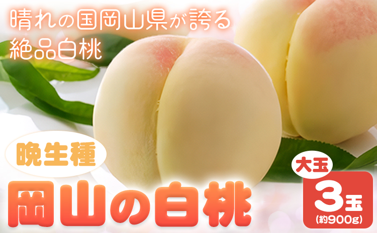 [先行予約]岡山の白桃 晩生種 大玉3玉 約900g 晴れの国 おかやま館(つむぐ株式会社) [7月下旬-8月下旬頃出荷]岡山県 浅口市 フルーツ モモ 果物 青果 旬[配送不可地域あり](離島)---124_2190_7c8c_25_16000_3tama---