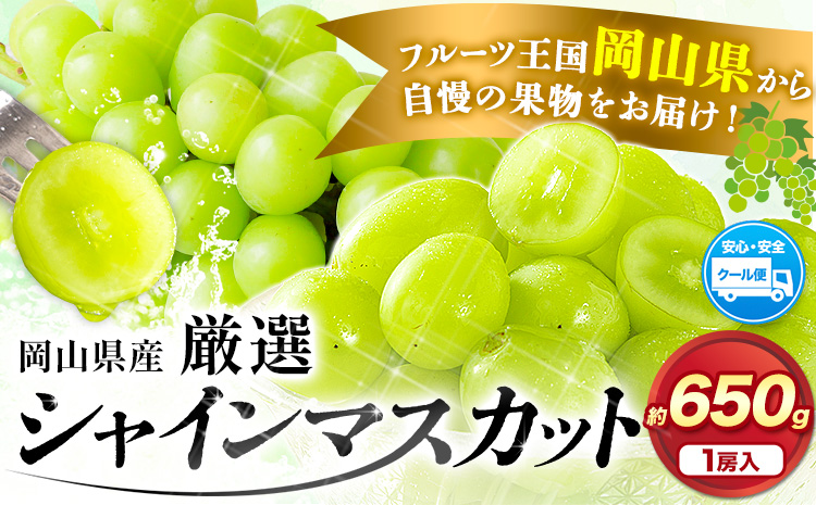 [先行予約]厳選 シャインマスカット 1房 (約650g) 訳あり[2024年9月中旬-11月上旬頃出荷]マスカット 送料無料 岡山県 浅口市 シャインマスカット ぶどう フルーツ 果物 贈り物 ギフト 国産 岡山県産---124_c636_9c11j_24_9500_1---|シャインマスカット シャインマスカット シャインマスカット シャインマスカット シャインマスカット シャインマスカット