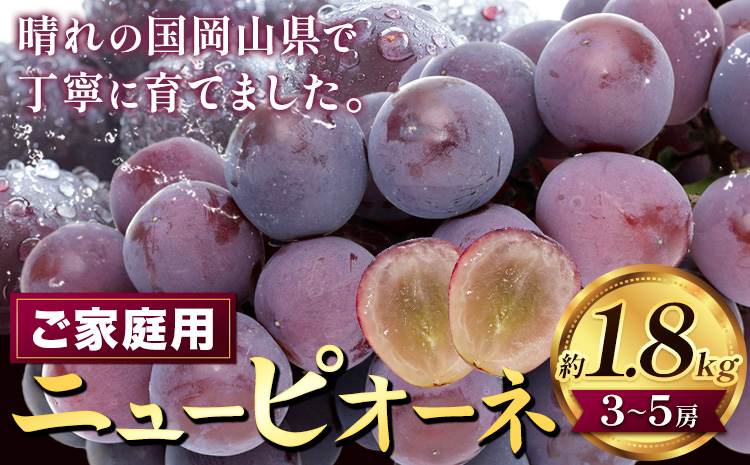 [2026年先行予約]ぶどう ニューピオーネ ご家庭用 約 1.8kg 3〜5房[2026年8月上旬-9月中旬頃出荷]株式会社fruceed ぶどう 送料無料 岡山県 浅口市 ぶどう フルーツ 果物 くだもの ピオーネ 家庭用---124_c2005_8a9b_25_14500_1800g---st-p