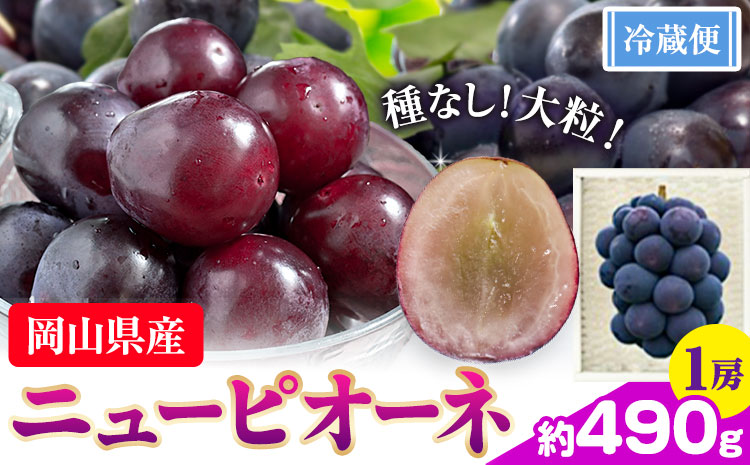 ぶどう ニューピオーネ 約 490g 1房 株式会社藍[9月中旬-10月下旬頃出荷]岡山県 浅口市 岡山県産 ぶどう フルーツ 果物 くだもの ピオーネ 送料無料 [配送不可地域あり]---124_c3252_9b10c_25_10000_1---st-p