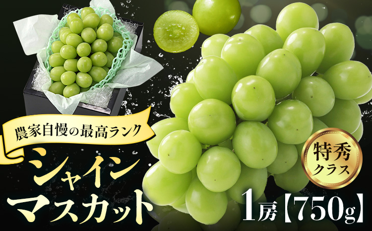 [2026年先行予約]ぶどう シャインマスカット 農家自慢の最高ランク シャインマスカット 1房 約750g 特秀クラス[9月中旬-10月下旬頃出荷(土日祝除く)] Nini farm マスカット 送料無料 岡山県 浅口市 フルーツ 果物 贈り物 国産 岡山県産 くだもの 果物 青果物---124_c2254_9b10c_25_19000_750g---
