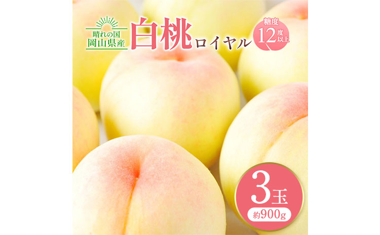 [先行予約]岡山白桃ロイヤル 3玉 計約900g 橋田商店有限会社[7月上旬-8月中旬頃出荷] 岡山県 浅口市 岡山県産 もも フルーツ 果物 くだもの 白桃 送料無料 ---124_c1170_7j8c_24_21000_900r---