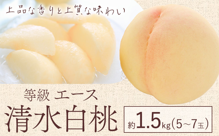[先行予約]清水 白桃 等級 エース 約1.5kg 5〜7玉入りもも モモ 岡山 国産 フルーツ 果物 ギフト 桃茂實苑[7月中旬-8月上旬頃出荷]岡山県 浅口市 フルーツ モモ 果物 青果 旬 白桃 国産 岡山県産[配送不可地域あり]---124_c2138_7b8a_25_25000_1500g---
