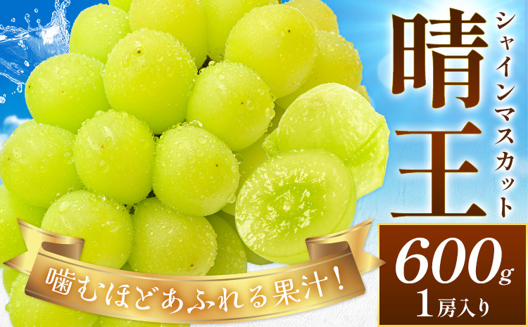[2026年先行予約]ぶどう シャインマスカット 晴王 約600g (1房入り) 満天フルーツ[2026年9月上旬-10月末頃出荷]岡山県 浅口市 送料無料 マスカット フルーツ 果物 お取り寄せフルーツ 贈り物 ギフト 国産 岡山県産[配送不可地域あり]---124_c1975_9a10m_25_18000_600g---