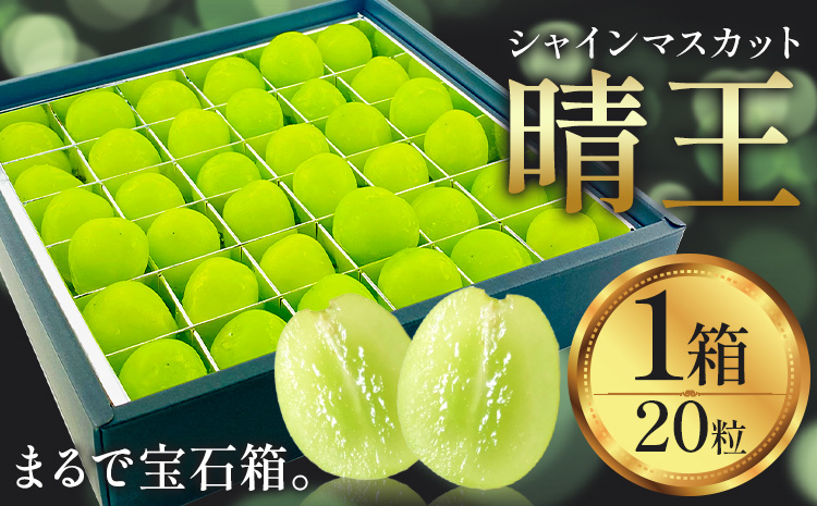 [2026年発送先行予約]シャインマスカット 晴王 20粒 シャイン マスカット[2026年9月中旬-10月中旬頃出荷予定]晴レ乃青果 (岡山中央卸売市場店(富士紙工 有限会社)) 送料無料 岡山県 浅口市 フルーツ 果物 国産 岡山県産 贈答用 [配送不可地域あり]---124_c2241_9b10b_19500_20---