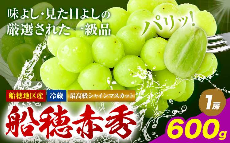 [2026年先行予約受付]最高級 シャインマスカット ぶどう 船穂赤秀 1房 600g[2026年9月上旬-10月末頃出荷(土日祝除く)]ハレノフルーツ マスカット 送料無料 岡山県 浅口市 フルーツ 果物 贈り物 ギフト 国産 岡山県産[配送不可地域あり](北海道・沖縄・離島)---124_c1962_9a10m_25_22000_600g---