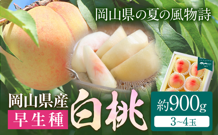 [令和7年度先行予約]岡山県産 白桃 (早生種) 約900g 晴れの国 おかやま館(漂流岡山)[2025年7月上旬-8月中旬頃出荷][配送不可地域あり](離島)---124_c861_7j8c_24_17000_900g---