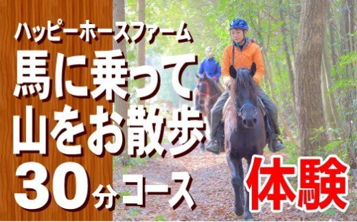 馬の牧場体験＆馬に乗って山をお散歩30分コースチケット
