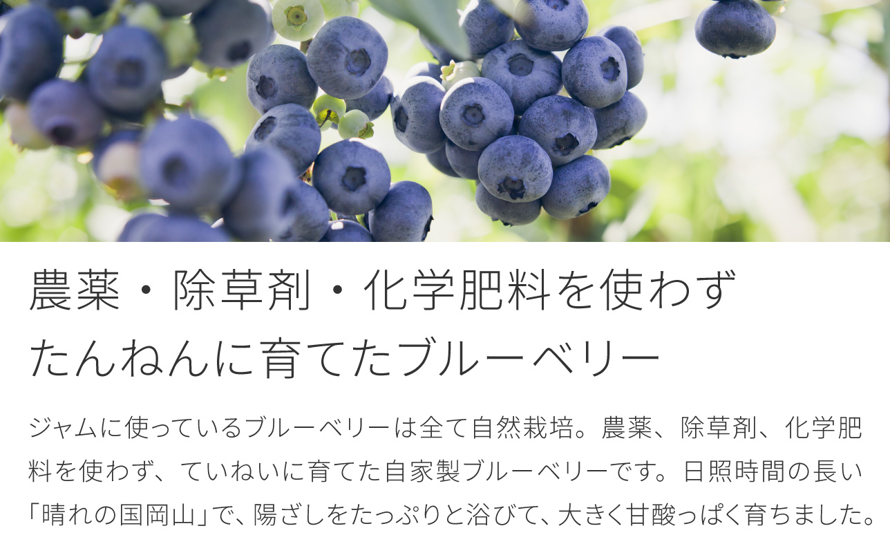 果実たっぷり自然農法のブルーベリージャム　140g×3