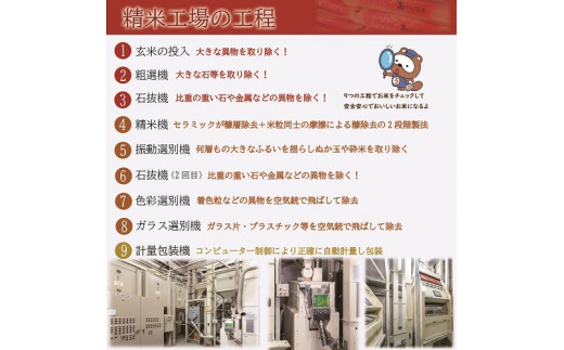 お米　【無洗米】岡山県産ひのひかり100%（令和7年産）5kg