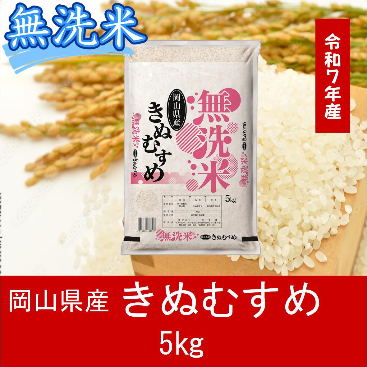お米　【無洗米】岡山県産きぬむすめ100%（令和7年産）5kg