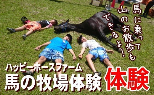 馬の牧場体験＆馬に乗って山をお散歩30分コースチケット