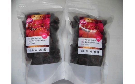 安芸クイーン干しぶどうビッグセット