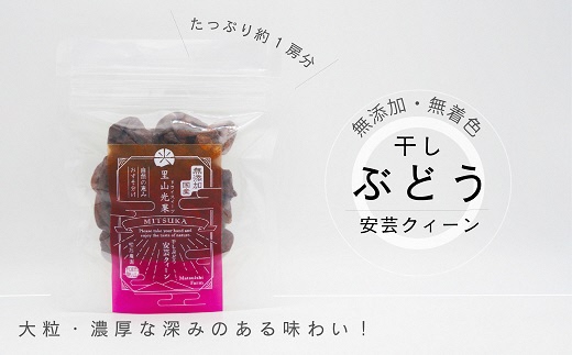 安芸クィーン干しぶどう