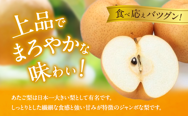 梨 2026年 先行予約 あたご梨 3～9玉 合計約4.5kg 贈答箱【11月下旬～12月中旬頃発送】 ナシ なし 岡山県産 国産 フルーツ 果物 ギフト 石原果樹園