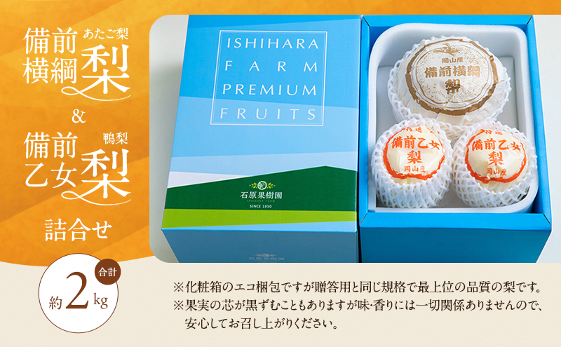梨 2026年 先行予約 備前横綱梨（あたご梨） 1玉( 1～1.5kg)・備前乙女梨（鴨梨） 2～3玉 詰合せ 合計約2.0kg【11月下旬～12月中旬頃発送】 岡山県産 フルーツ ギフト 石原果樹園 ナシ 果物