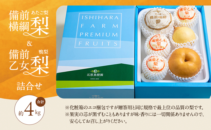 梨 2026年 先行予約 備前横綱梨（あたご梨） 2玉（1玉1～1.5kg）・備前乙女梨（鴨梨） 4～6玉 詰合せ 合計約4.0kg【11月下旬～12月中旬頃発送】 岡山県産 フルーツ ギフト 石原果樹園 和梨