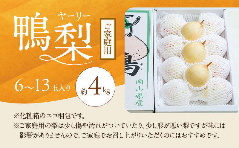 梨 2026年 先行予約 ご家庭用 鴨梨（ヤーリー） 6～13玉入り 約4kg 化粧箱【11月下旬～12月中旬頃発送】 ナシ なし 岡山県産 国産 フルーツ 果物 石原果樹園 家庭用