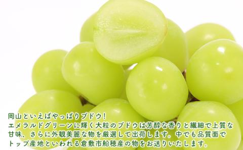 【2026年先行予約】 ぶどう 岡山県産 マスカット ・オブ・ アレキサンドリア 厳選 1房 約700g 大房 岡山県 倉敷市 船穂産 《2026年7月中旬-下旬頃出荷》 葡萄 ブドウ フルーツ 果物 数量限定 里庄町