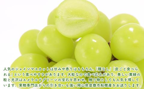 【2026年先行予約】 ぶどう 岡山県産 シャインマスカット 晴王 厳選 1房 約700g 大房 岡山県 倉敷市 船穂産 《2026年9月上旬-10月上旬頃出荷》 葡萄 ブドウ フルーツ 果物 数量限定 期間限定 里庄町