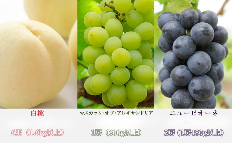 桃 ぶどう 梨 定期便 2025年 先行予約 晴れの国 岡山 の フルーツ 定期便 6回コース もも 葡萄 なし 岡山県産 国産 セット ギフト