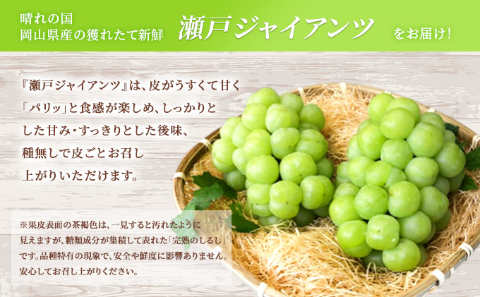 【2026年先行予約】 ぶどう 岡山県産 瀬戸ジャイアンツ 1.2kg以上(2房)《2026年9月上旬-下旬頃出荷》 葡萄 ブドウ 岡山県産 フルーツ 果物 数量限定 期間限定 岡山 里庄町 獲れたて 新鮮 甘い 種無し