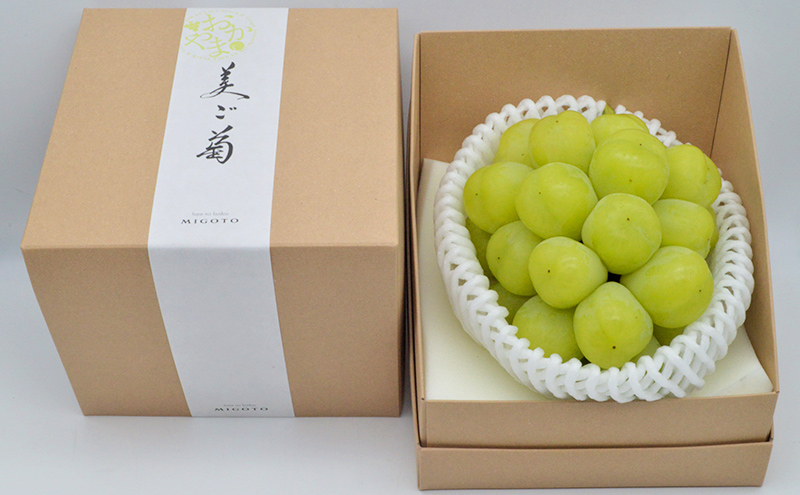 ぶどう 2026年 先行予約 雄宝 1房 約1.0kg 数量限定 ブドウ 葡萄 岡山 国産 フルーツ 果物