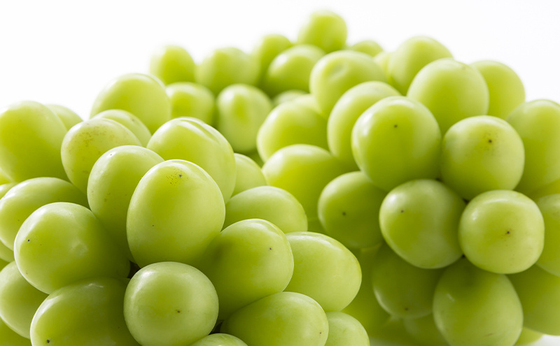 【2026年先行予約】 ぶどう 岡山県産 シャインマスカット 1kg箱（2～3房） 《2026年10月中旬-11月下旬頃出荷》 葡萄 ブドウフルーツ 果物 スイーツ 数量限定 期間限定 岡山 里庄町 ブドウ ぶどう